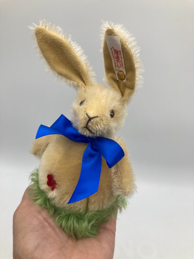 Rabbits | My Site