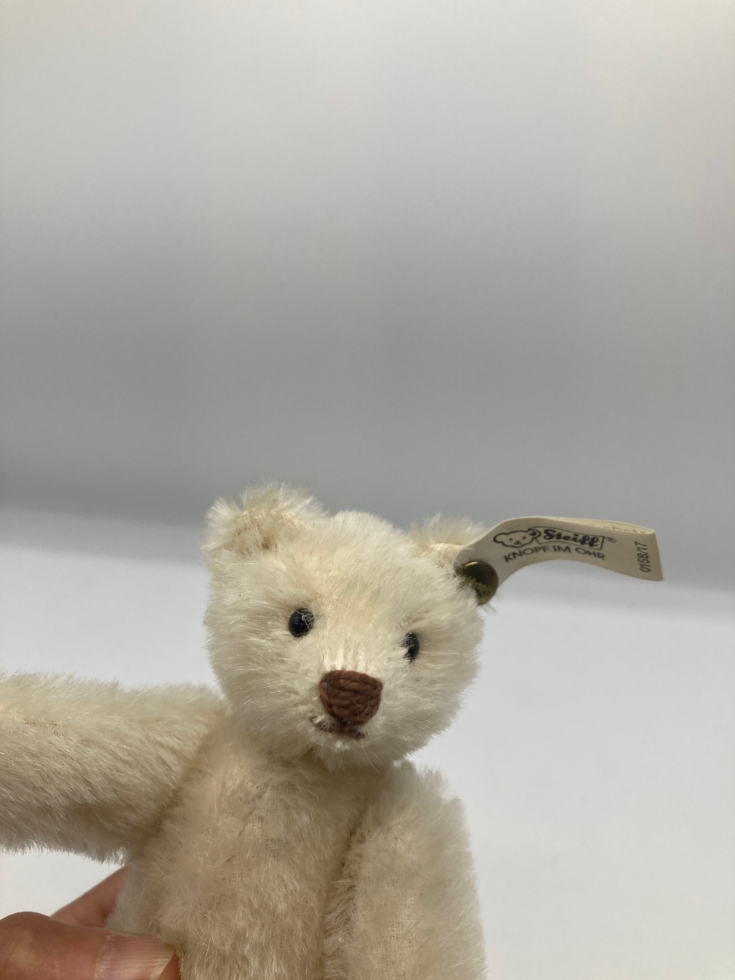 Steiff Mohair Snap A Part Teddy Bear 1909 Replica With All IDs