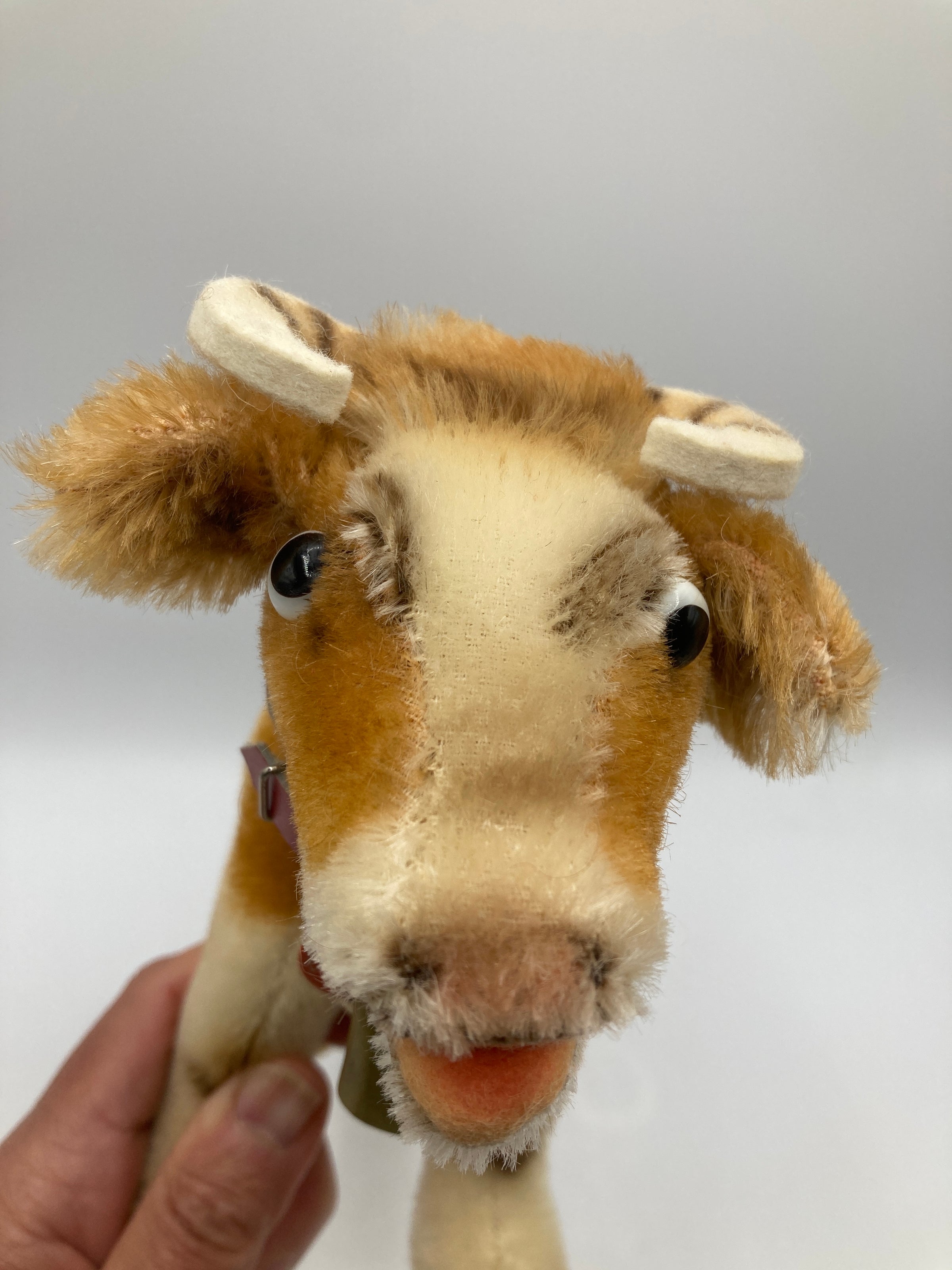 Steiff Medium Mohair Bessie Cow With ID | My Site