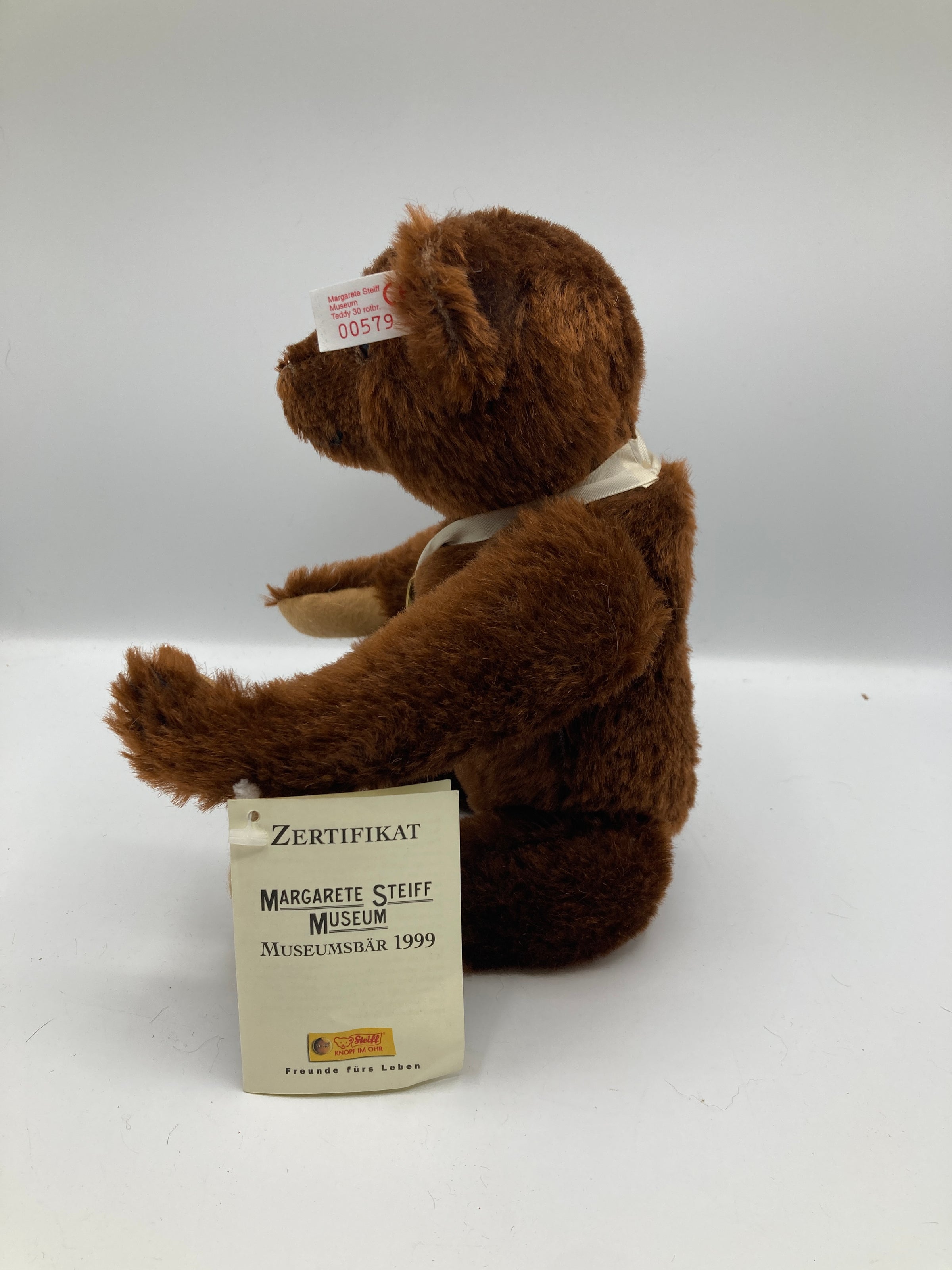 Steiff Museum Exclusive Teddy Bear With All IDs | My Site