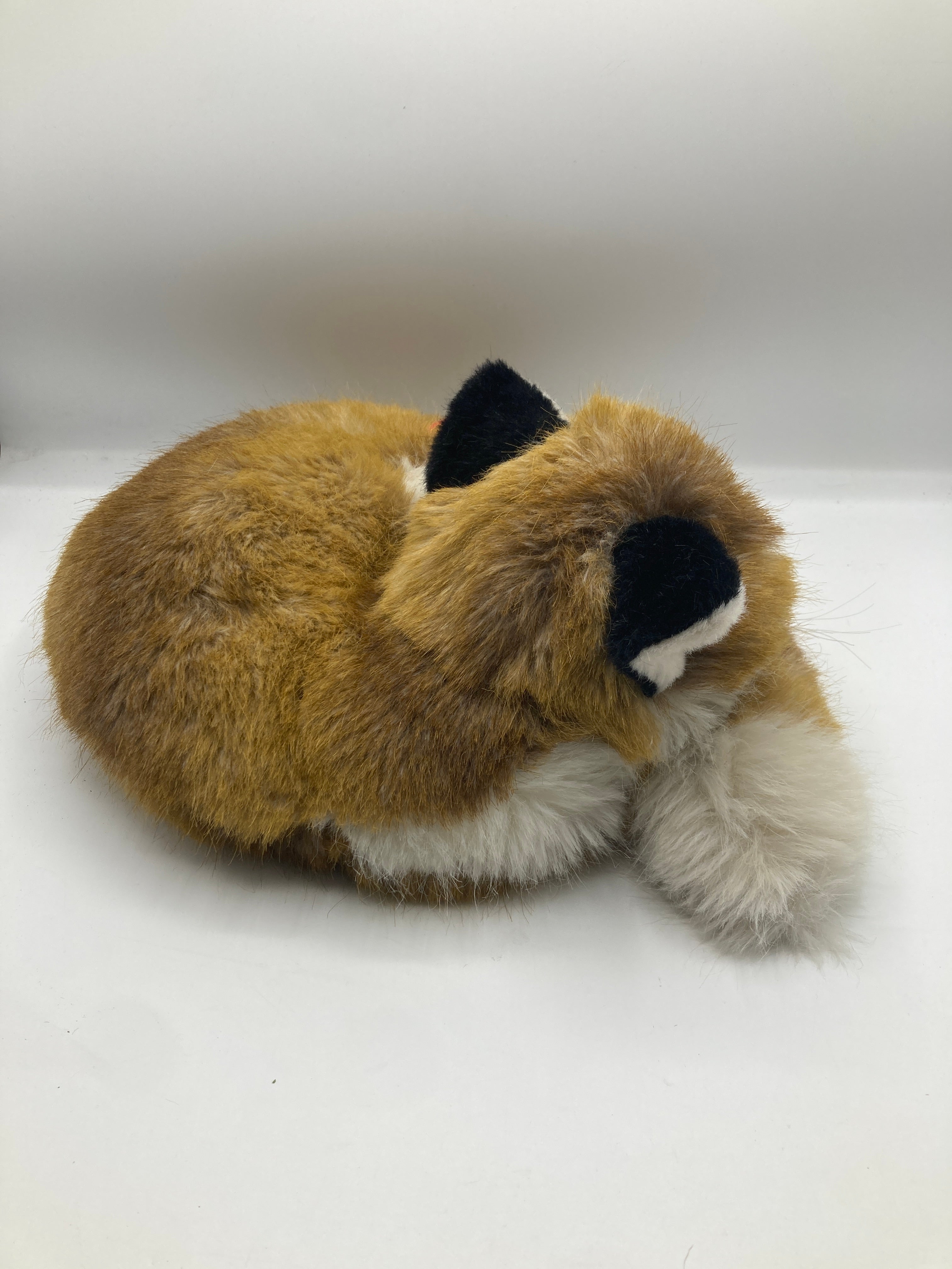 Steiff's Soft Plush Curled Up Fuzzy Fox With All IDs | My Site