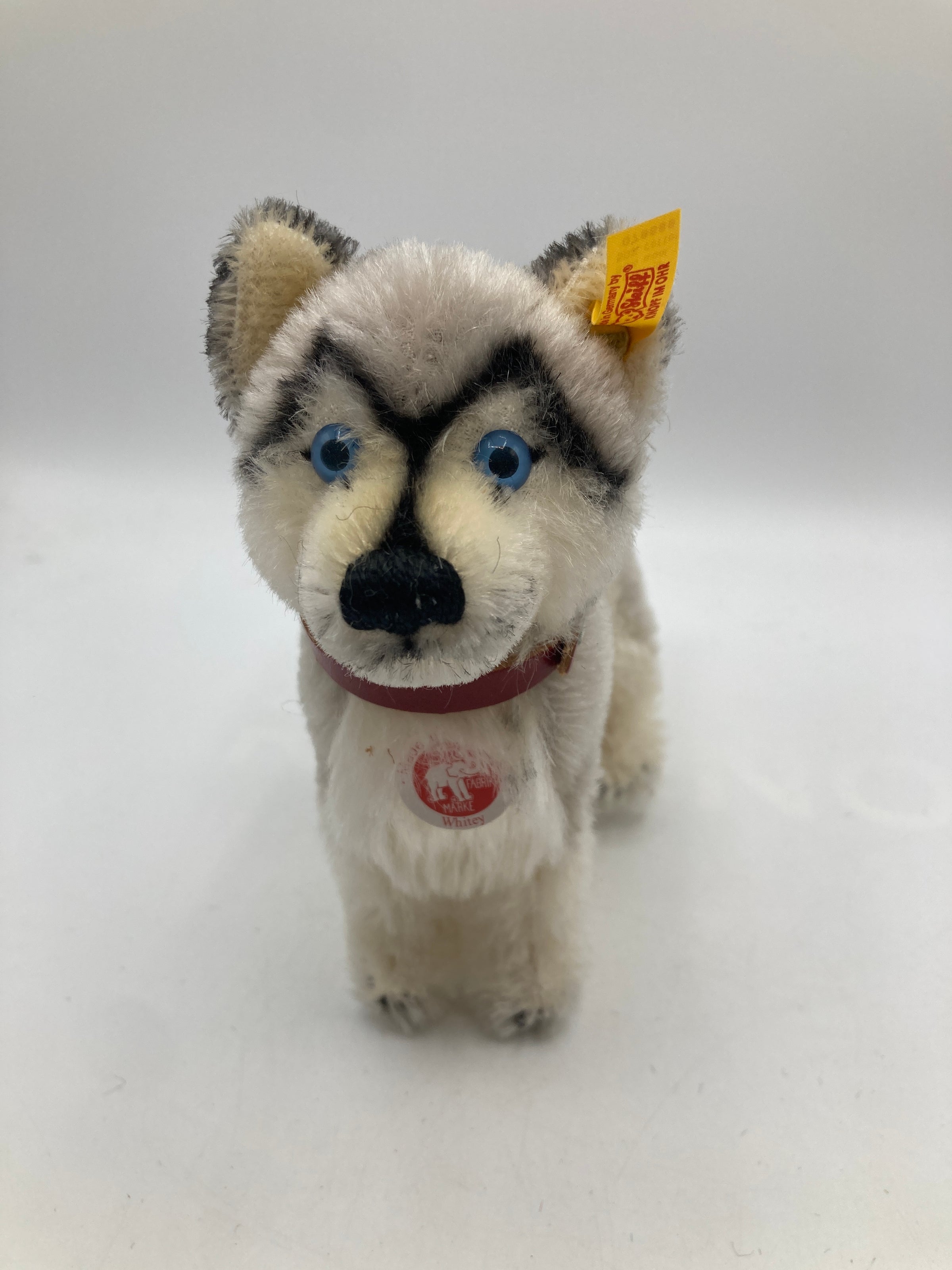 Steiff Mohair White and Grey Whitey Husky Dog with All IDs | My Site