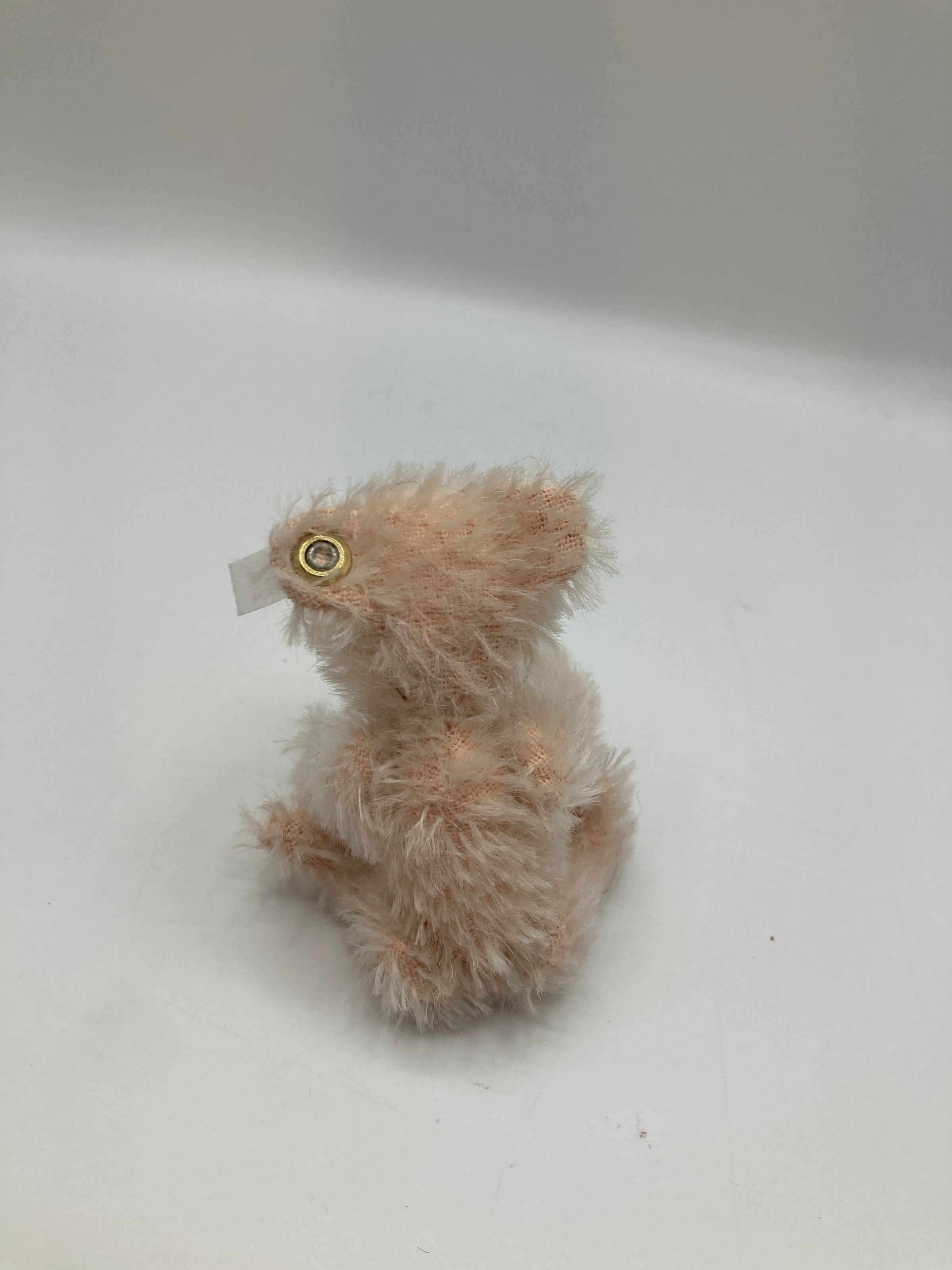 Steiff Fully Jointed Tiny 2003 Steiff Club Bear With All IDs | My Site