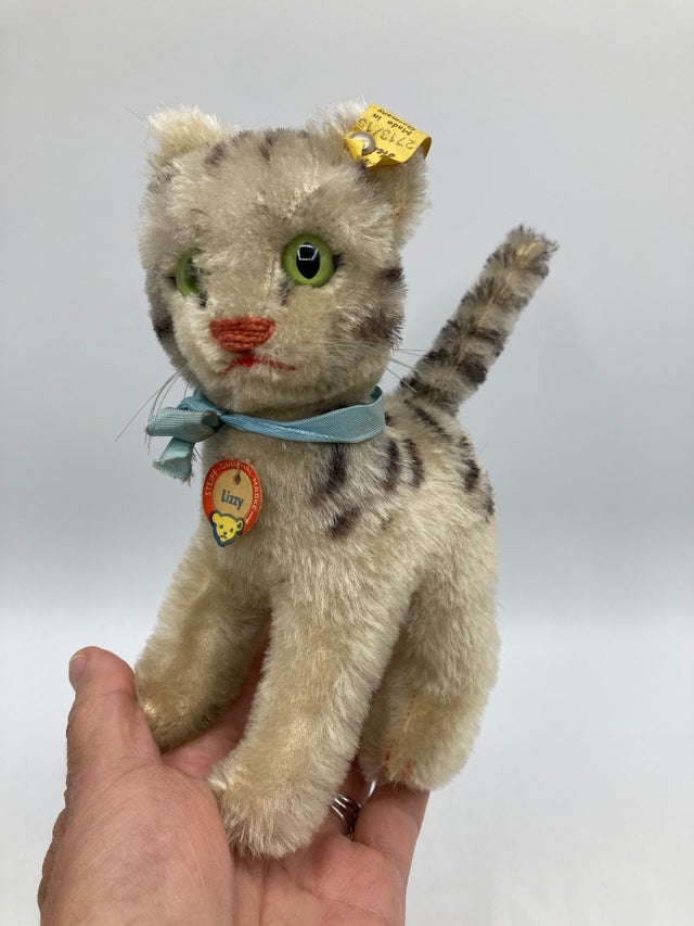Cats | My Site
