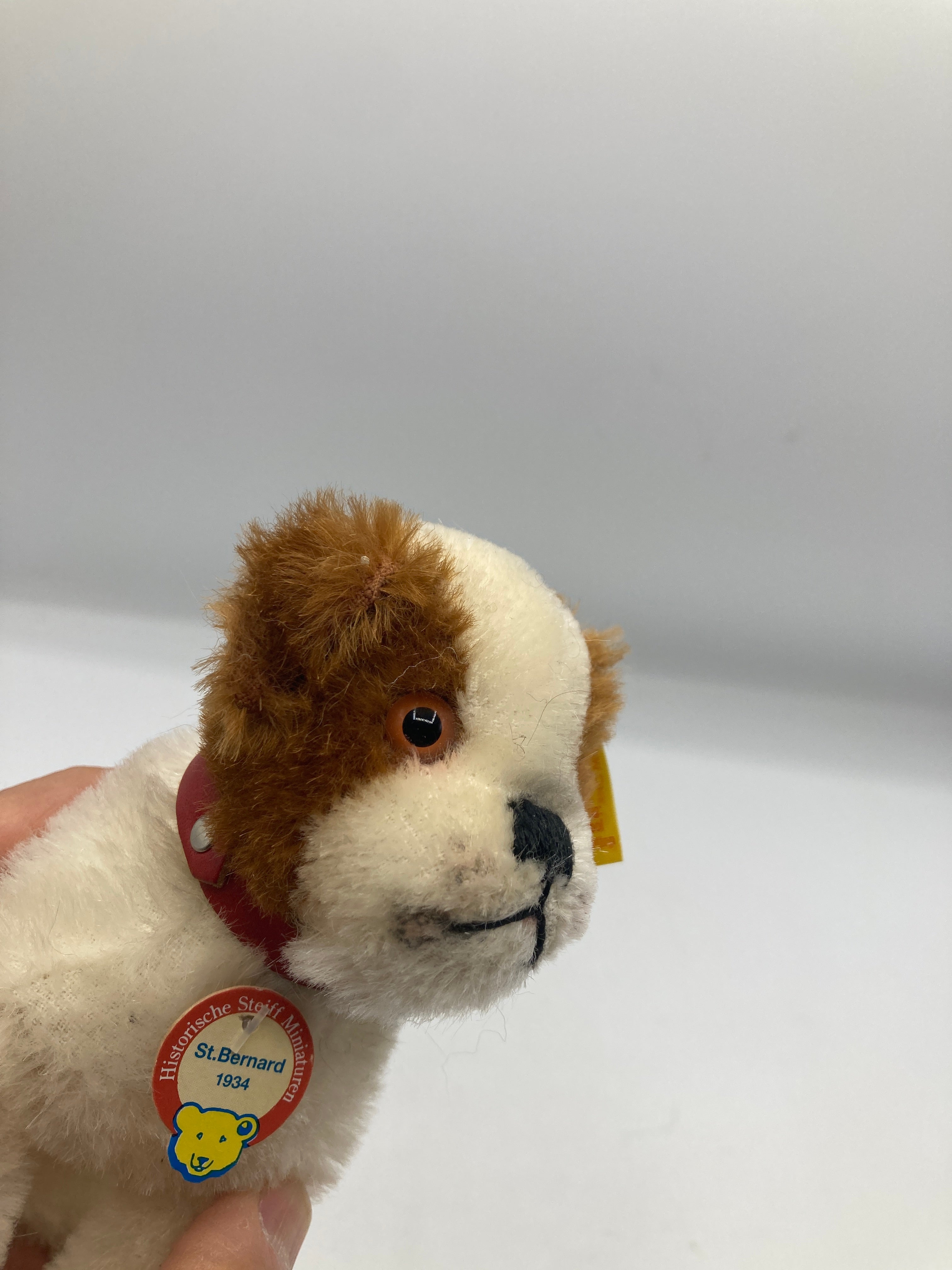Steiff Mohair 1934 St. Bernard Dog With All IDs | My Site