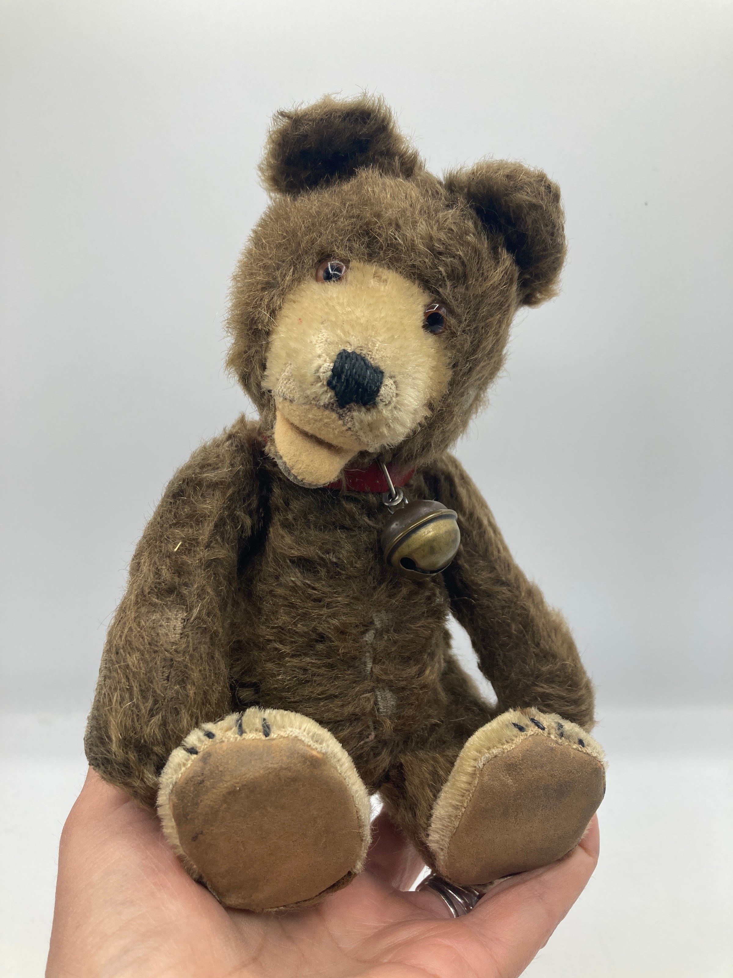 My SteiffLife | My Site