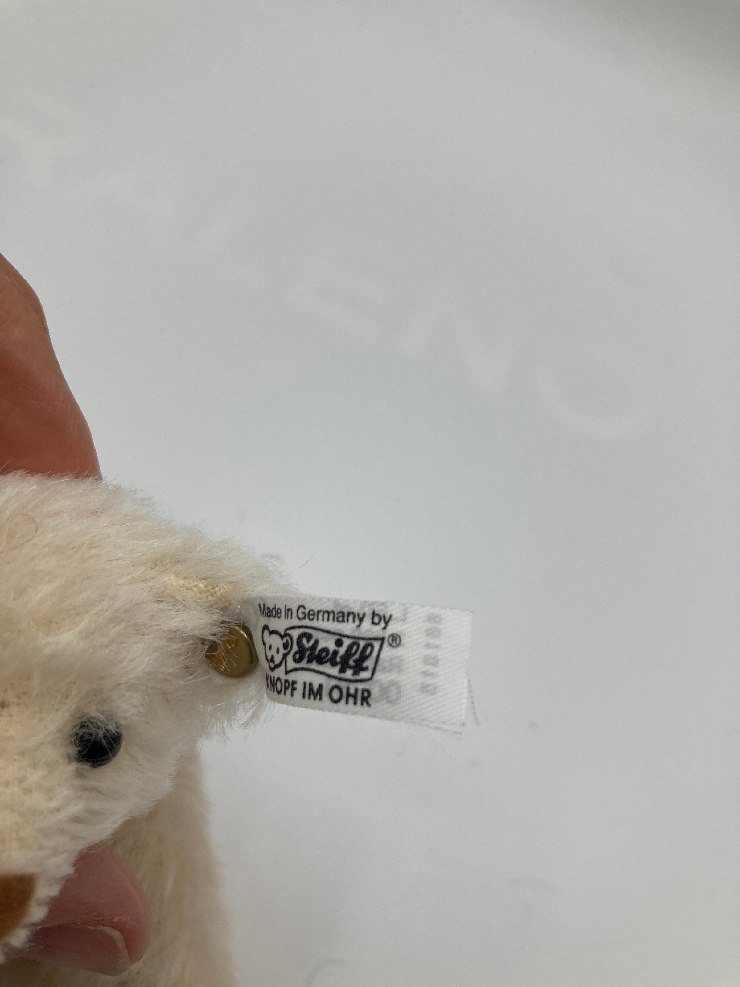 シュタイフ　Mohair Teddy bear 1929, white Steiff White Mohair Replica Rattle Bear With All IDs | My Site