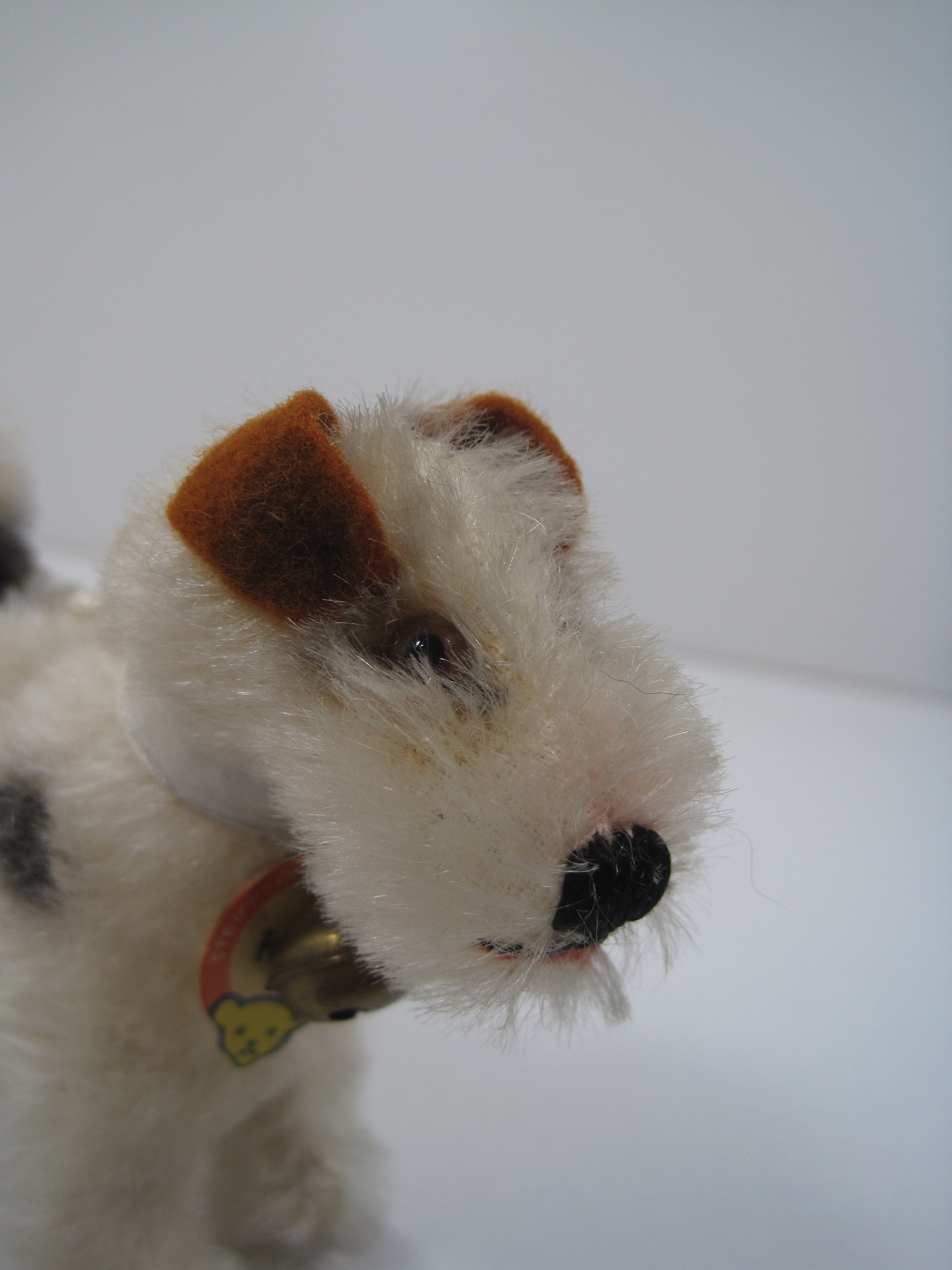 steiff fox terrier