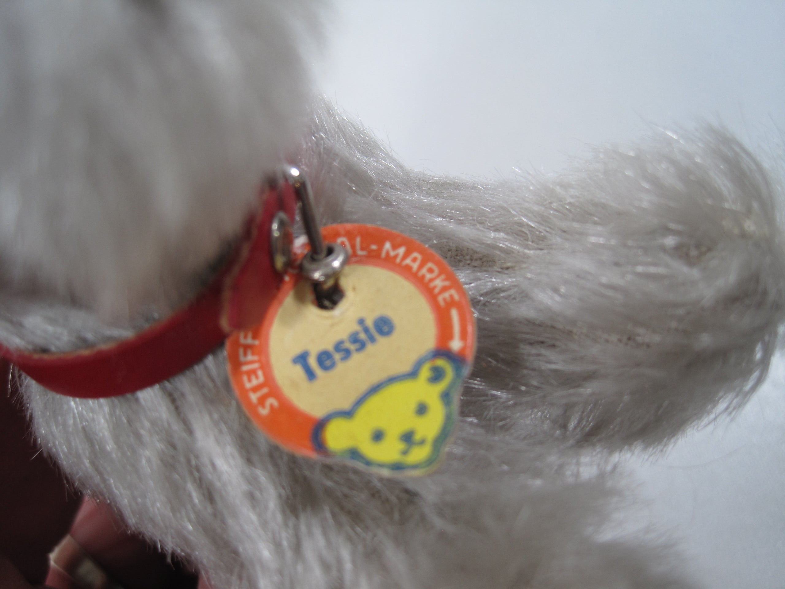 Home again dog on sale tag