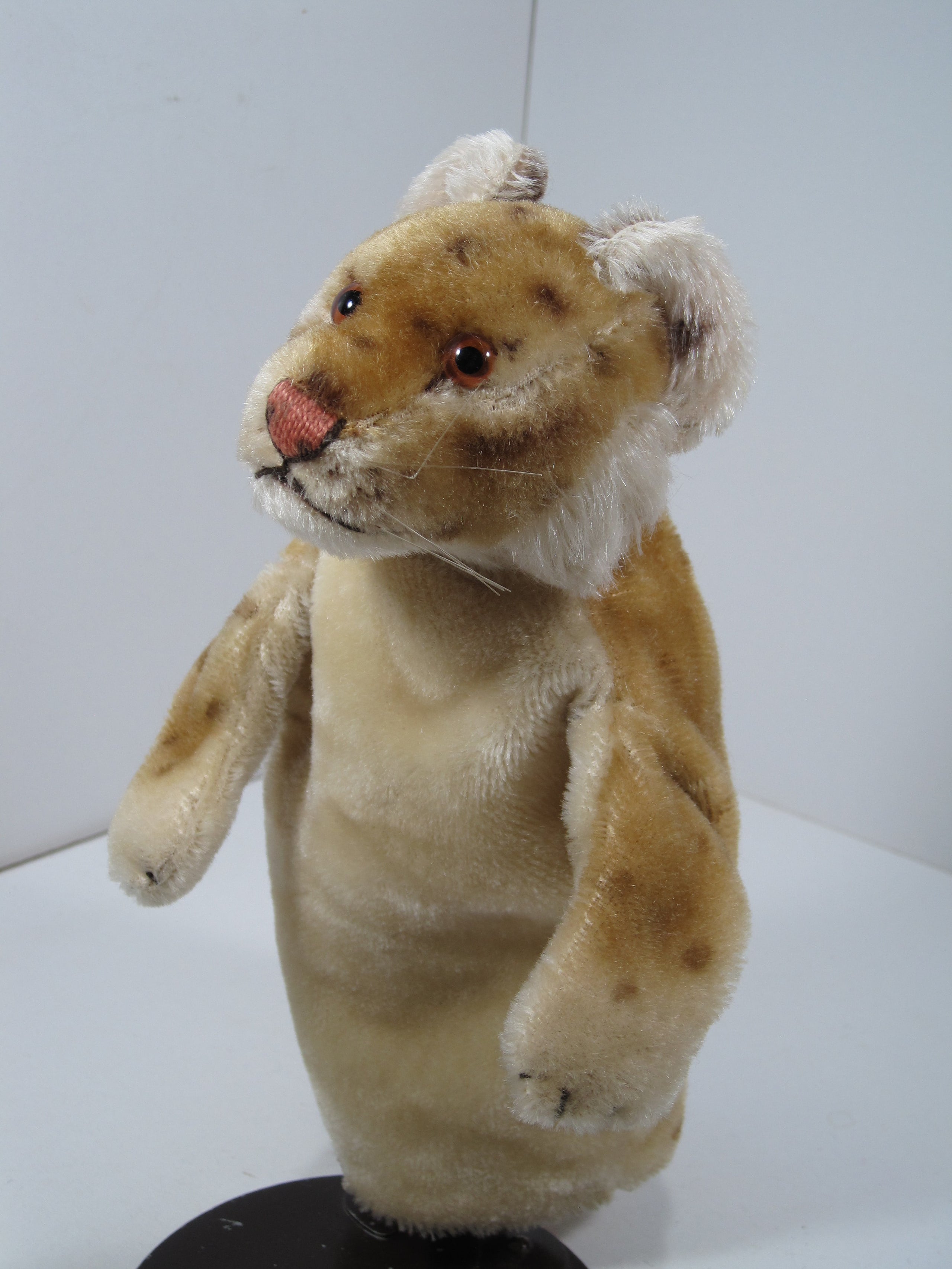 Steiff Young Lion Mohair Puppet My Site