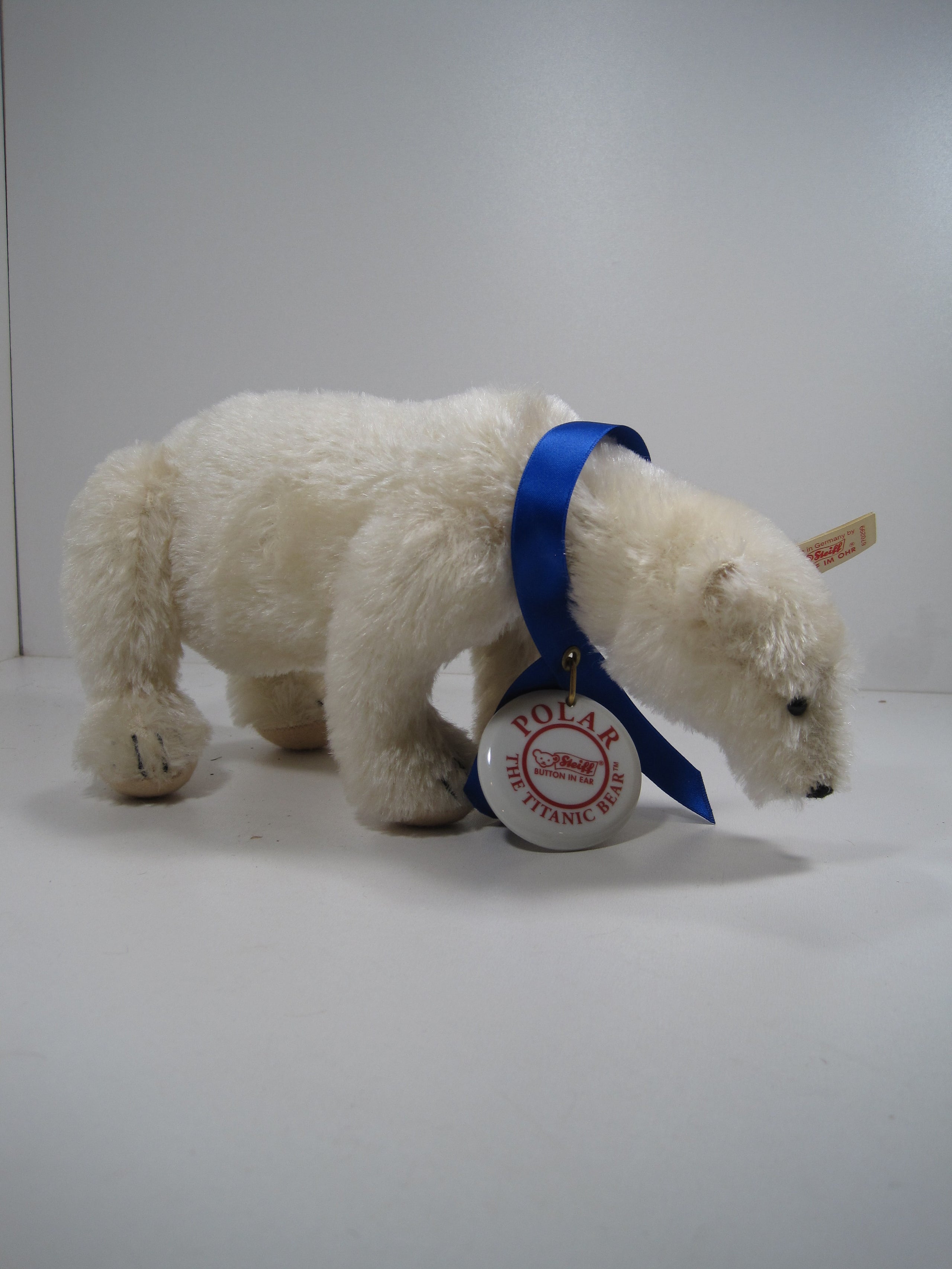 Steiff Polar The Titanic Bear With All IDs | My Site