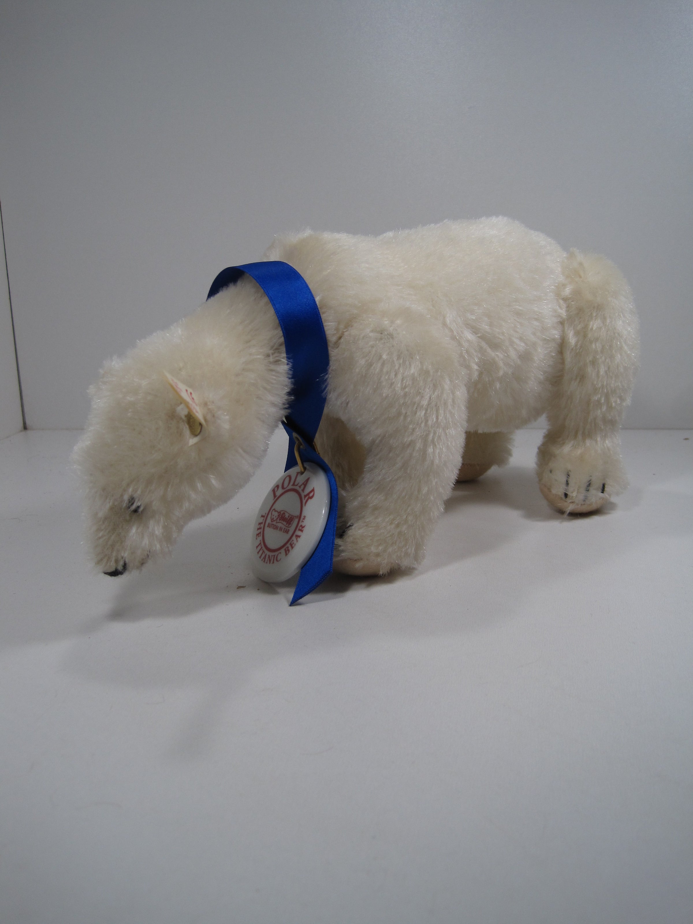 Steiff Polar The Titanic Bear With All IDs | My Site