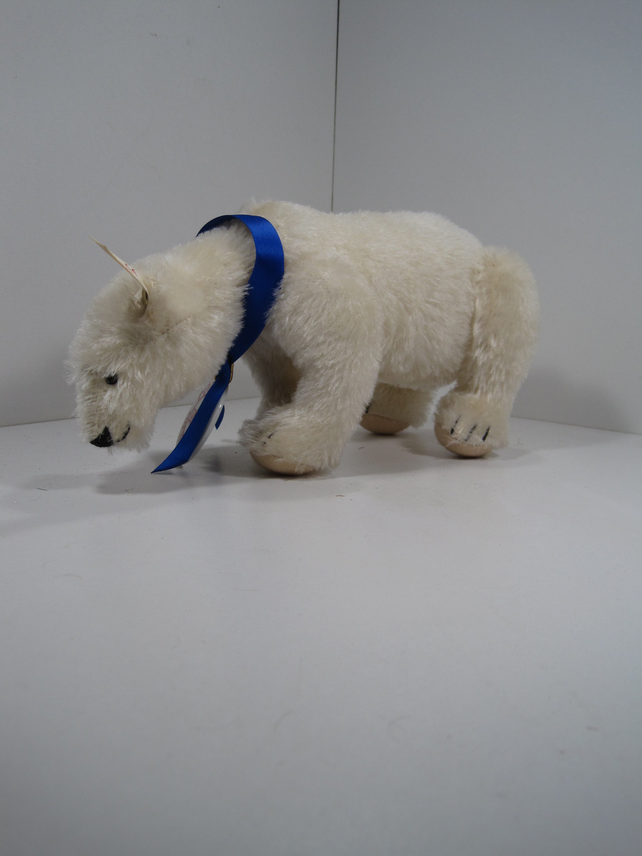 Steiff Polar The Titanic Bear With All IDs | My Site