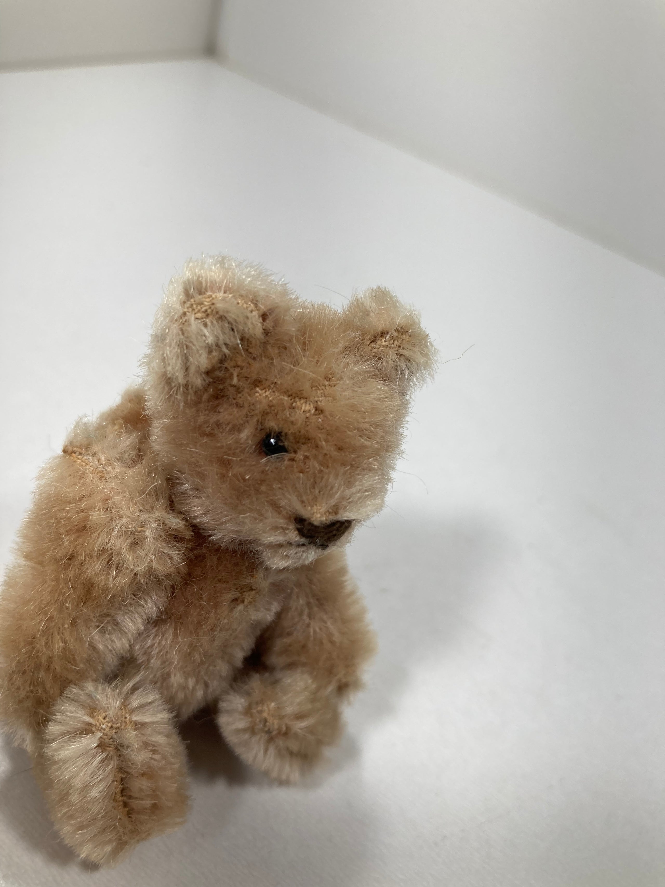 Steiff Smallest Midcentury Caramel Original Teddy Bear With ID