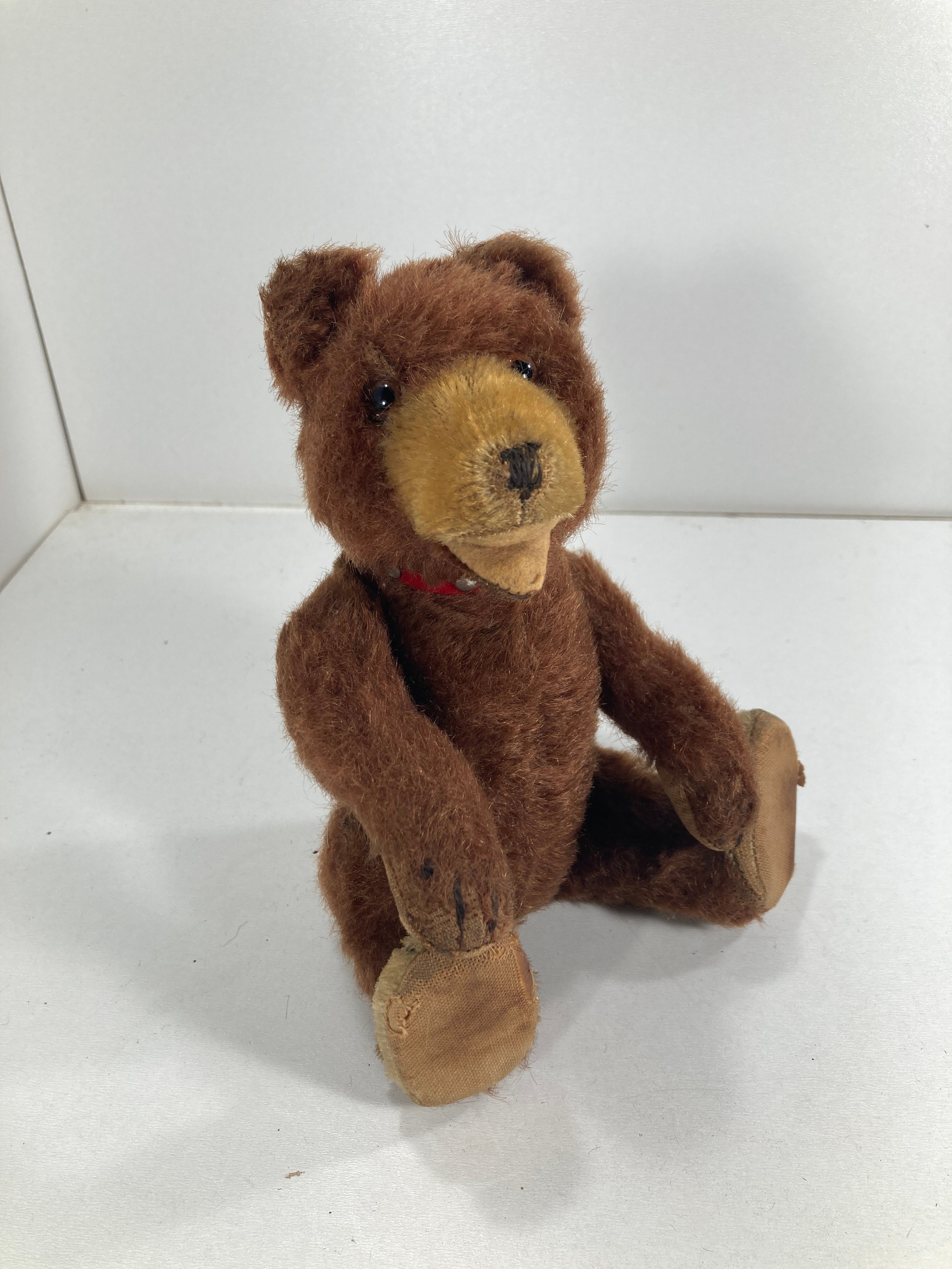 Steiff best sale bear identification