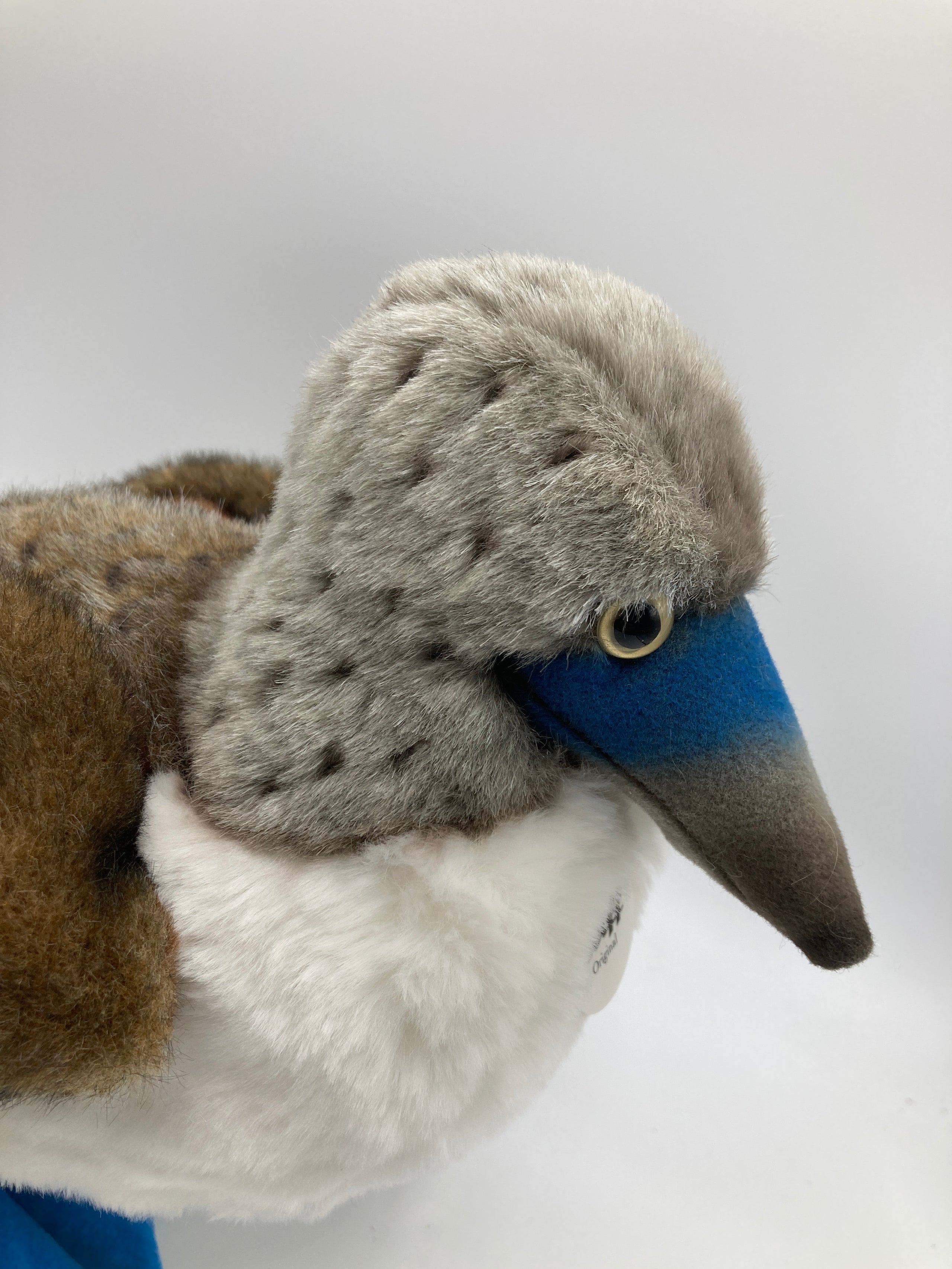 Steiff RARE Blue Footed Booby Bird With All IDs My Site