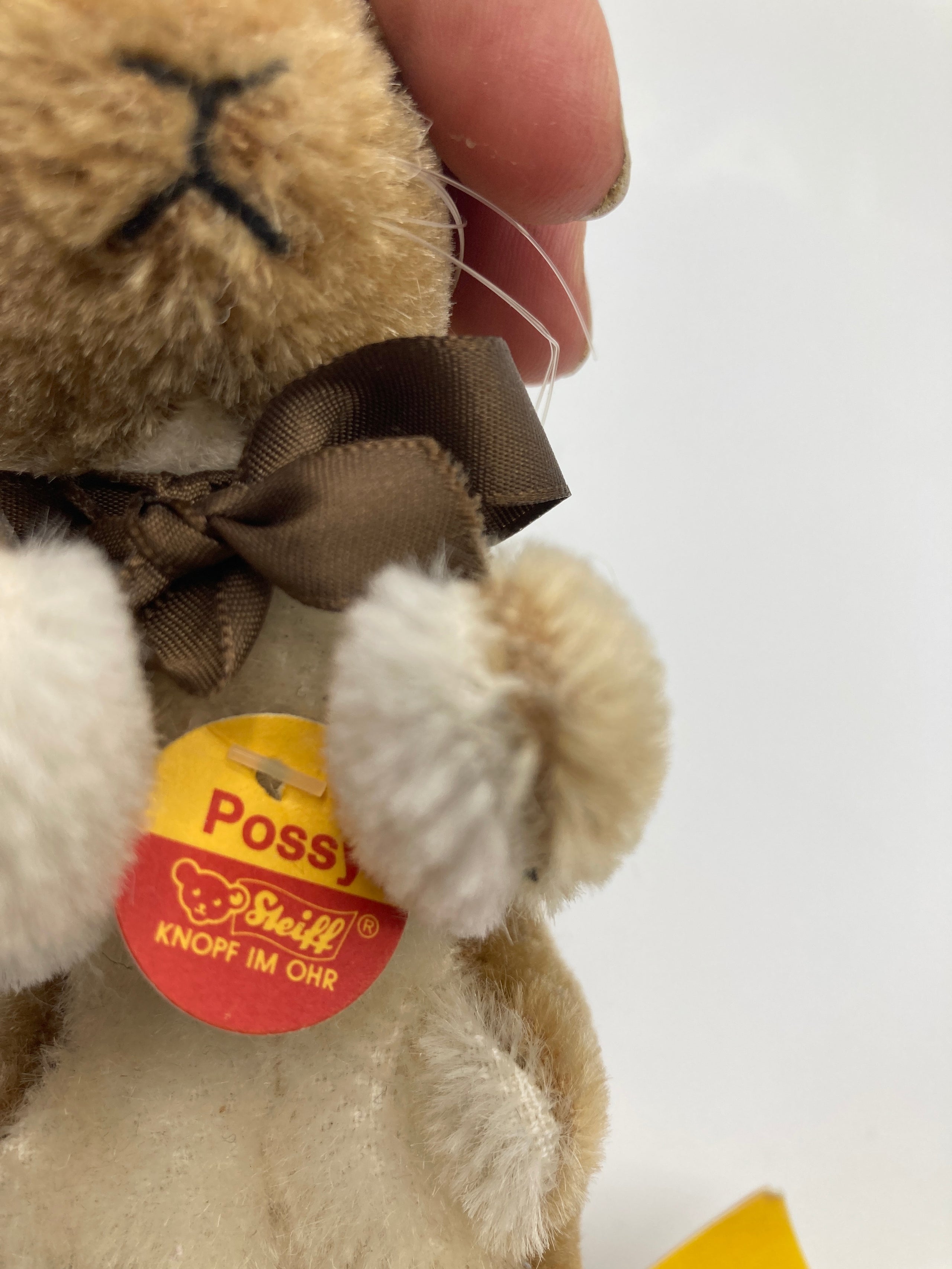 Steiff Mohair Possy Squirrel With All IDs Steiff Mohair Possy Squirrel With All IDs