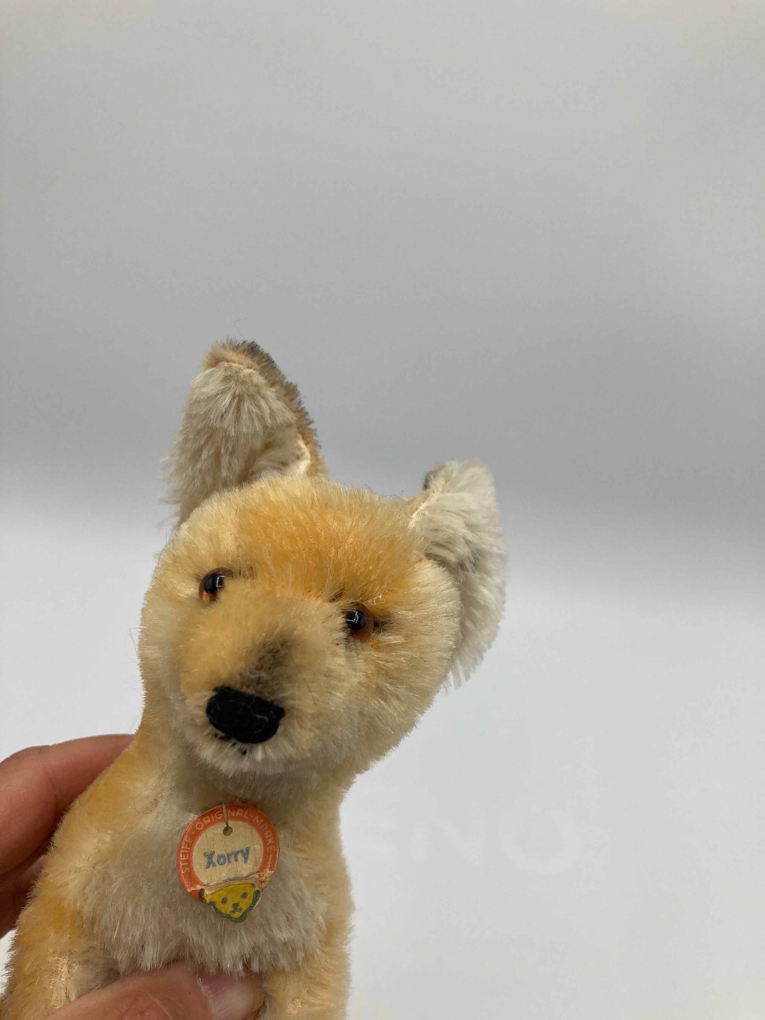 Steiff Larger Sitting Xorry Fox With IDs My Site